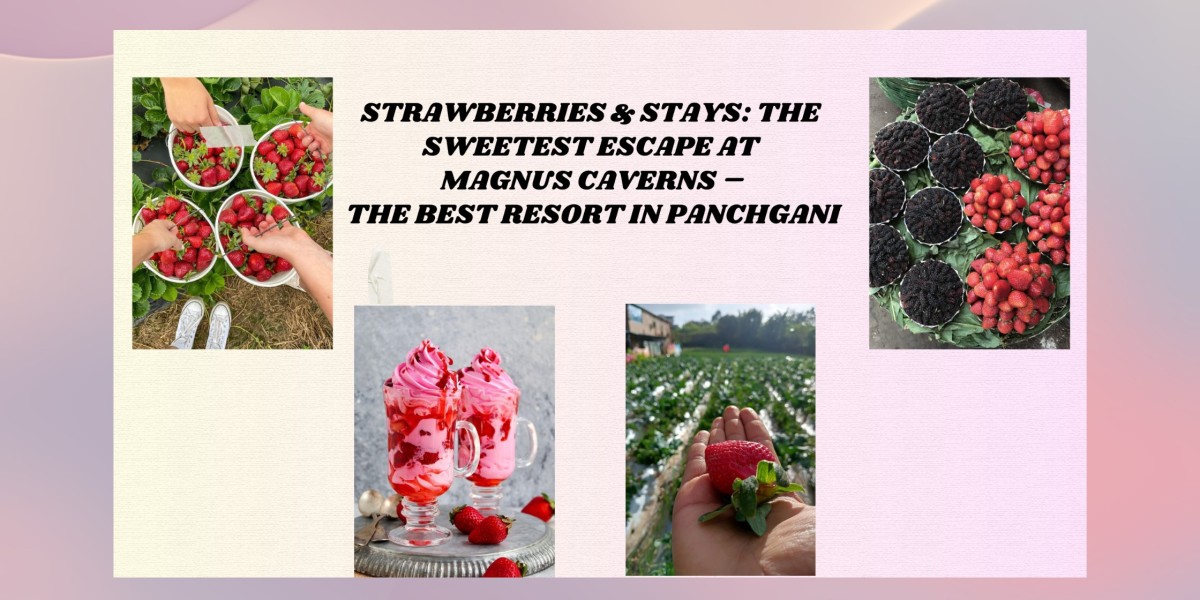 Strawberries & Stays: The Sweetest Escape at Magnus Caverns – The Best Resort in Panchgani
