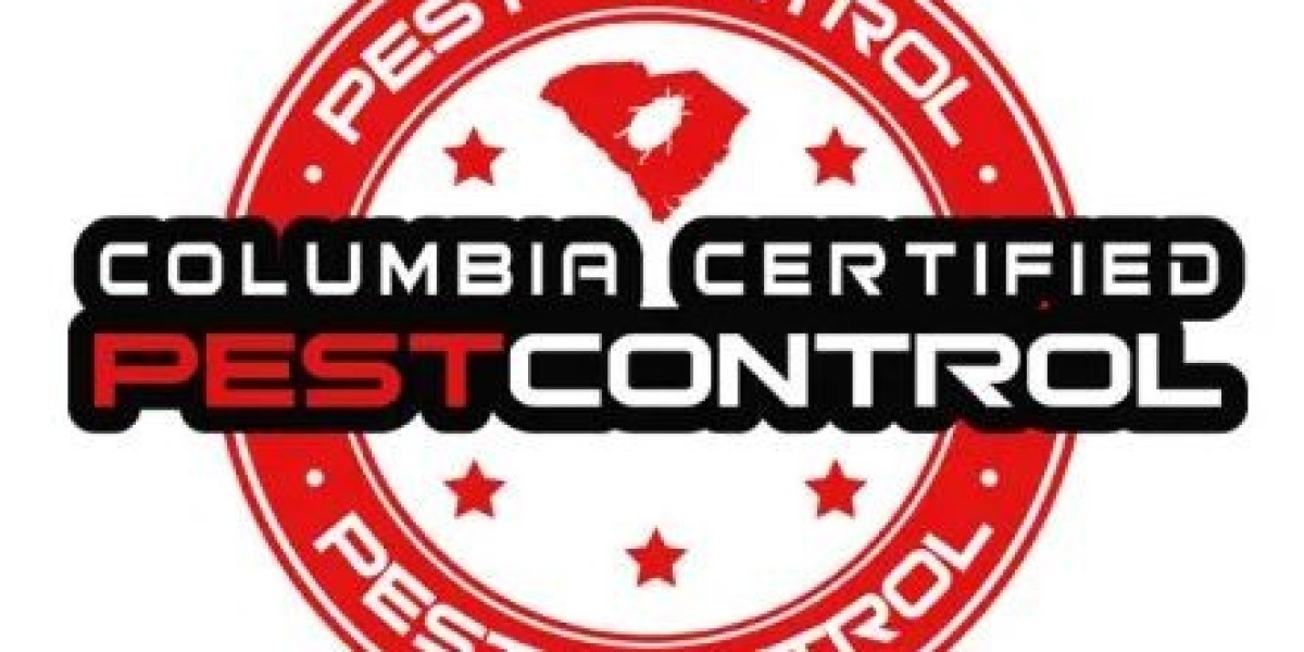 Long-Term Bed Bug Treatment and Prevention Tips