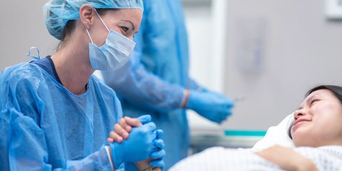 Midwife: Essential Care and Support During Pregnancy and Childbirth