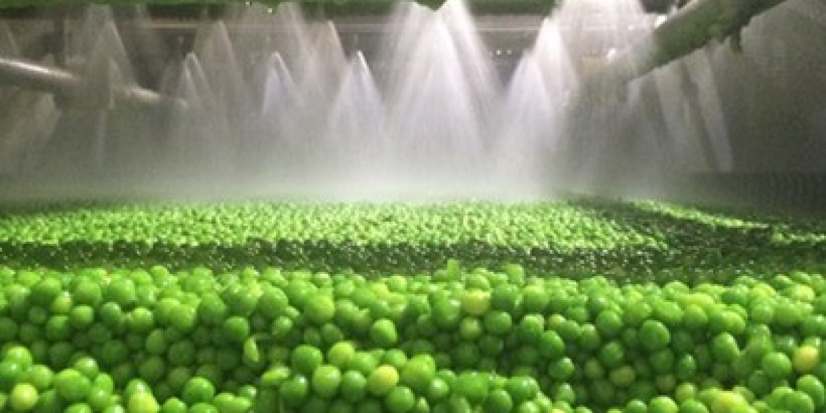 Setting Up a Successful Frozen Green Peas Manufacturing Plant Project Report: Business Plan