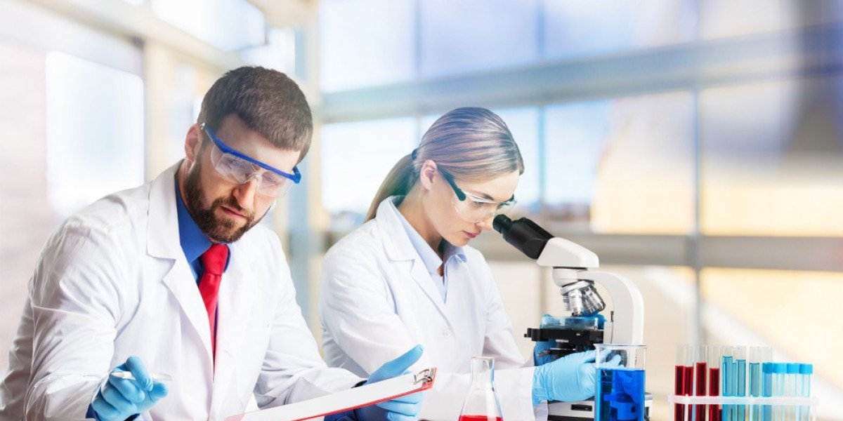 A Beginner’s Guide to the IAM Affiliate Ambassador Program