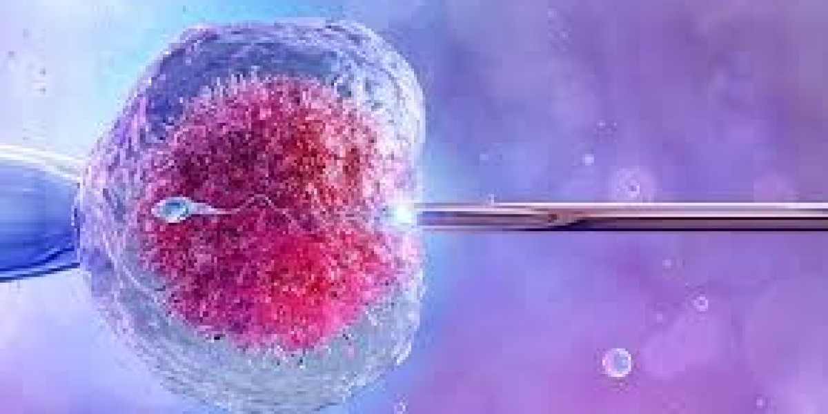 India In Vitro Fertilization (IVF) Market Analysis 2026-2034, Size, Share, Growth and Report