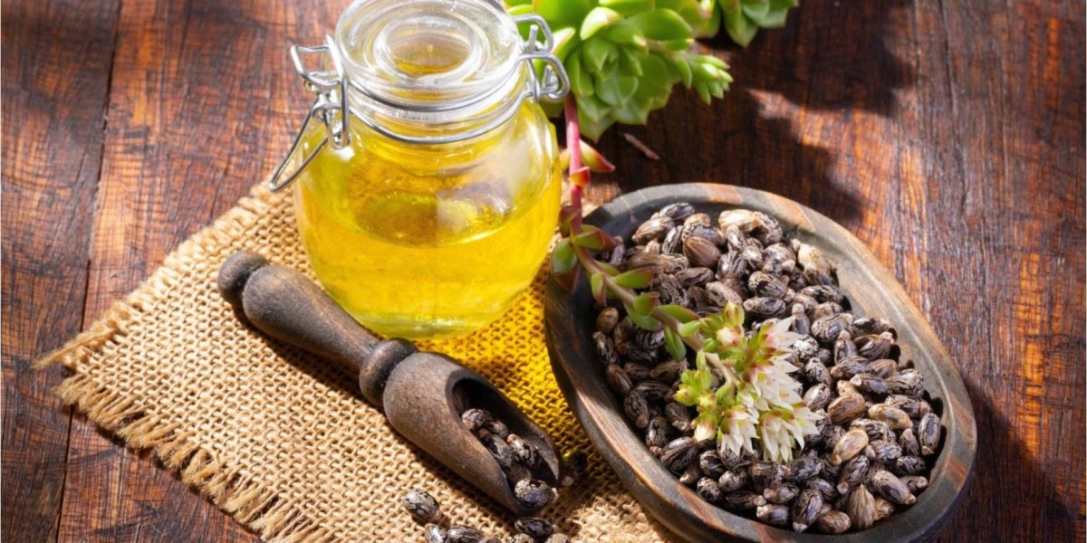 Report on Castor Oil Processing and Plant Setup: Equipment's and Machinery Requirement
