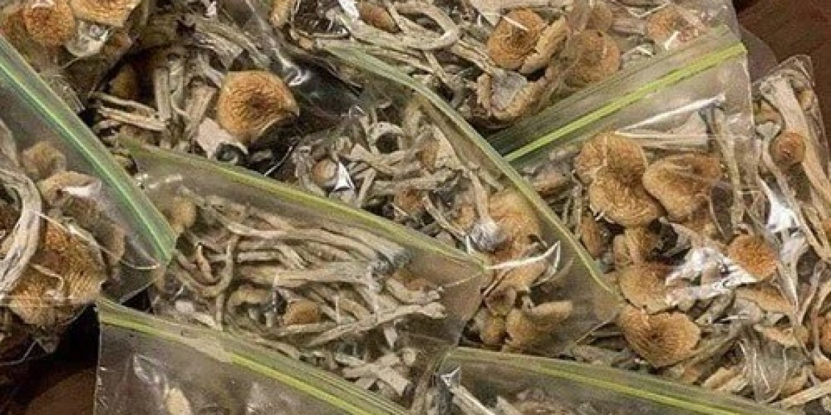 Order Psychedelics Band Quickly: Best Methods Reviewed