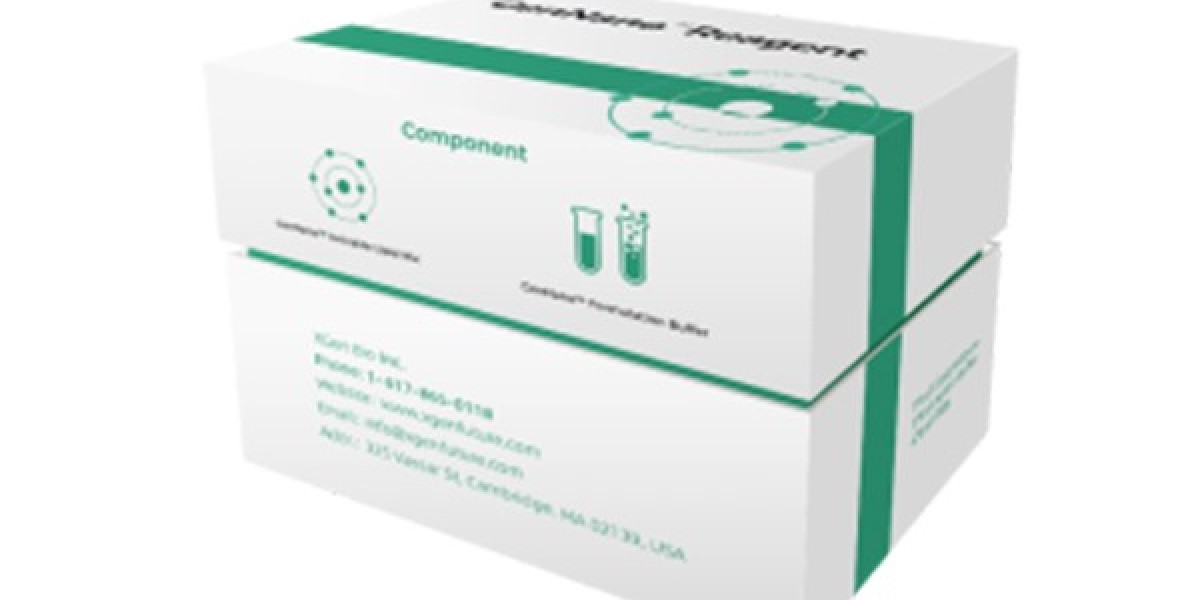 Streamlined mRNA Workflows: A Technical Guide to High-Performance RNA Kits