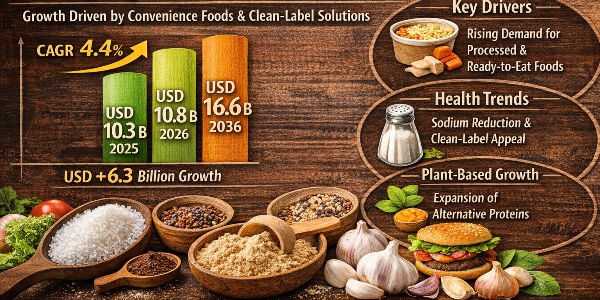 Global Savory Ingredient Market Grows Steadily as Demand for Convenience Foods and Clean-Label Solutions Rises