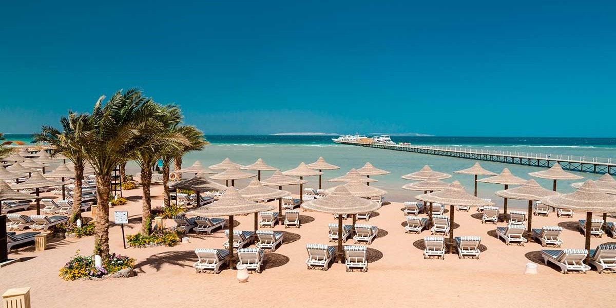 Beyond the Beach: The Ultimate Guide to Egypt’s Wonders from the Red Sea