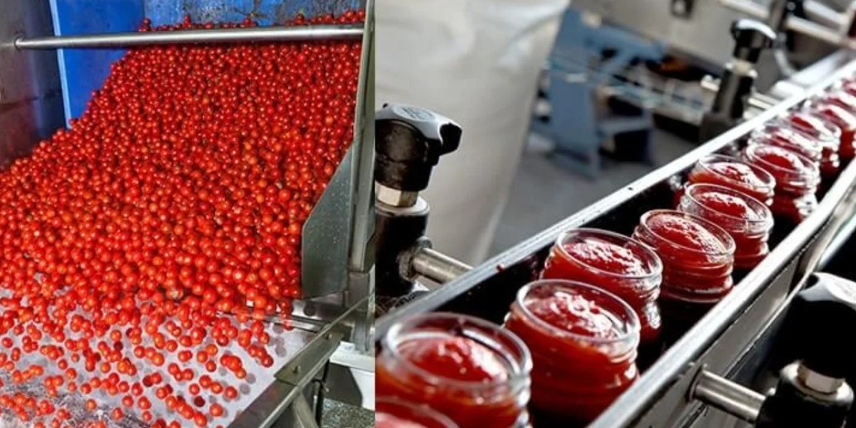 Report on Setting Up a Tomato Paste Manufacturing Plant: Machinery Requirements and Cost Analysis