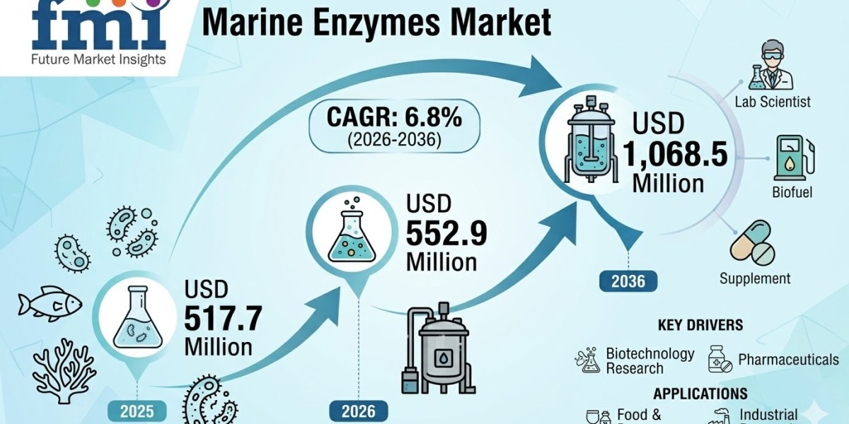 Marine Enzymes Market to Reach USD 1,068.5 Million by 2036 as Pharmaceutical Innovation and Functional Food Demand Suppo