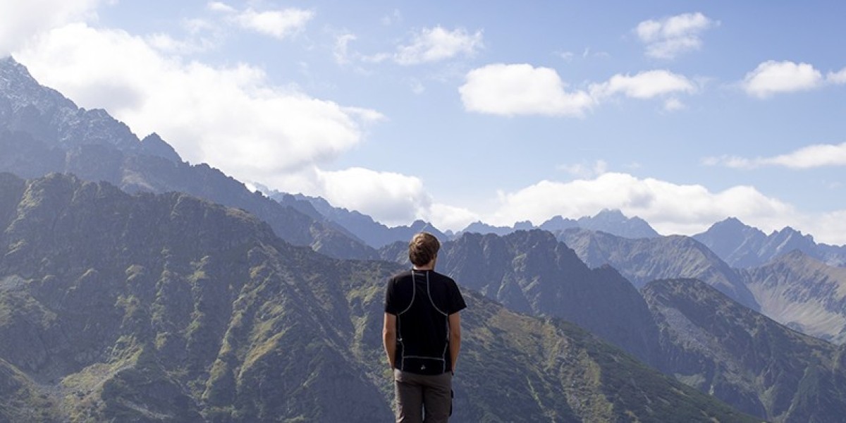 Exploring Top Categories and Listings Available on BizOp.org Today