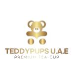 Teddy pups