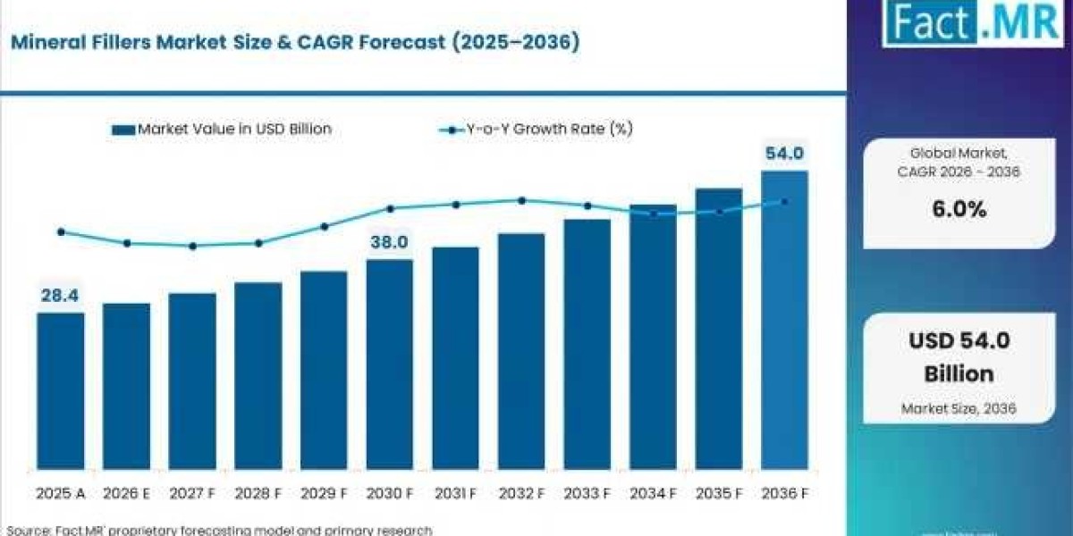 Mineral Fillers Market to Experience Robust Growth by 2036 Amid Rising Consumption in Plastics Processing