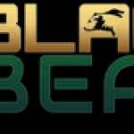 Black Bear