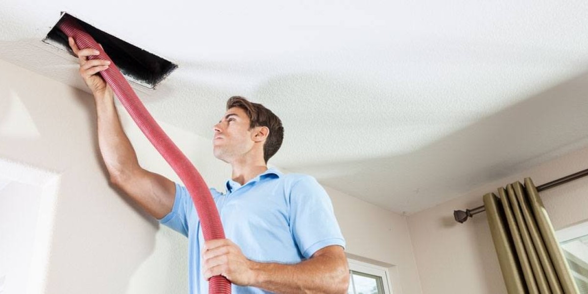 Air Duct Mold Cleaning Guide for a Healthier Home in Skokie, IL