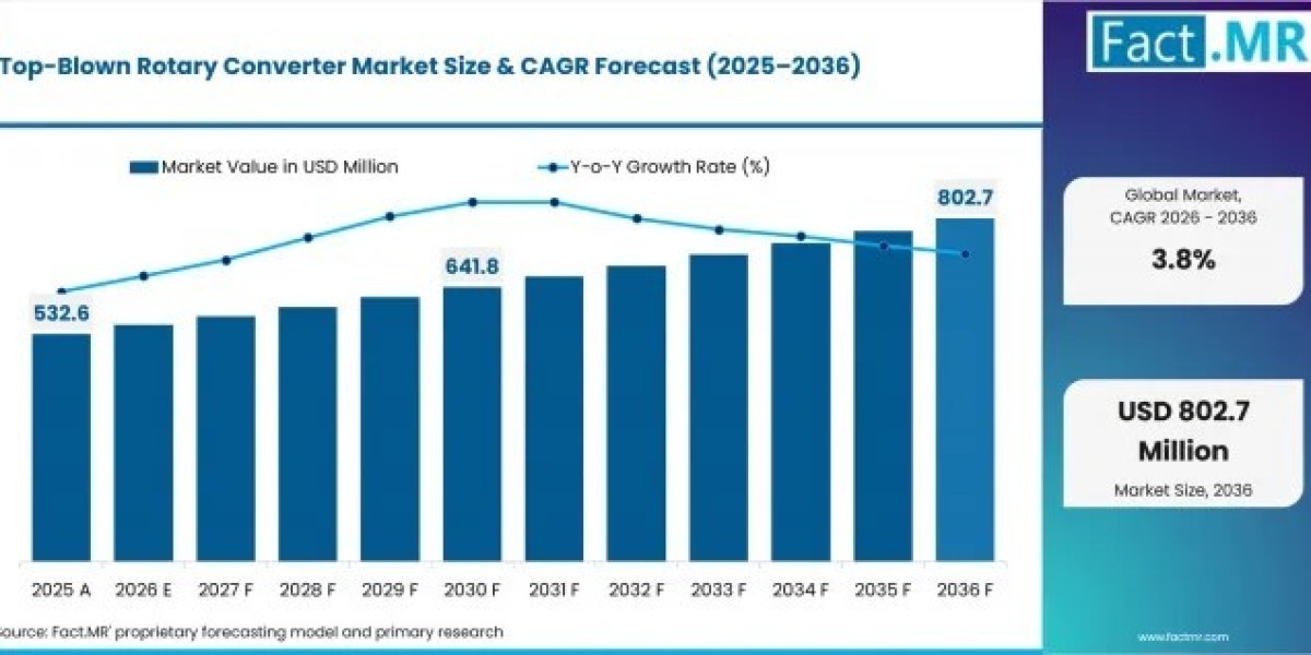 Global Top-Blown Rotary Converter Market Sees Strong Demand