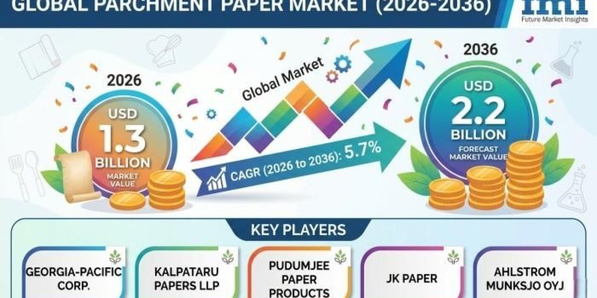 Rising Demand Strengthens Parchment Paper Market Across Industrial and Food Applications