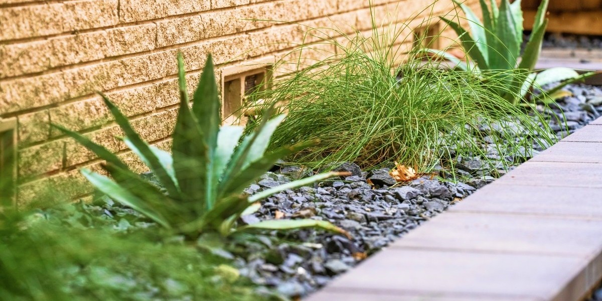 Give Your Dallas Property a Fresh Look With Professional Landscaping
