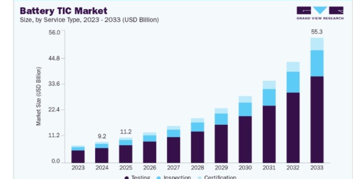 Battery Testing, Inspection, and Certification Market Size and Growth Outlook