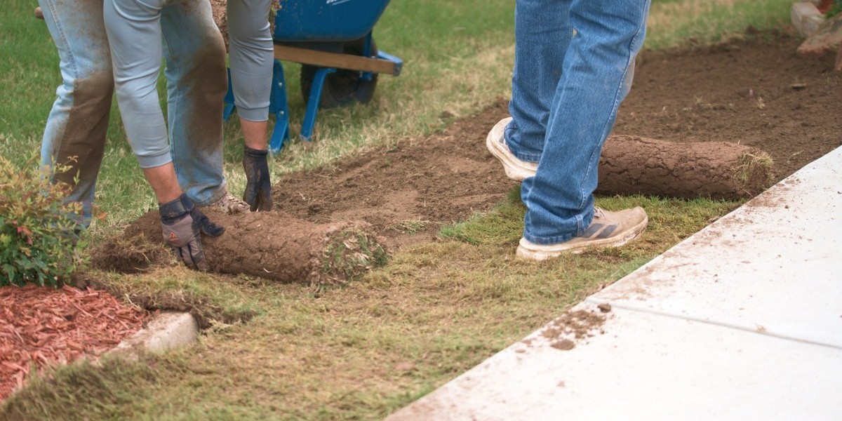 Best Time to Install Zoysia Sod for a Lush and Healthy Lawn