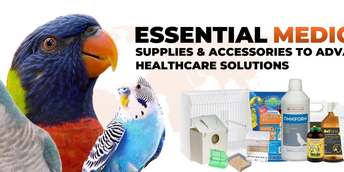 A Complete Guide to Bird Supplements: Vitamins, Calcium and Minerals